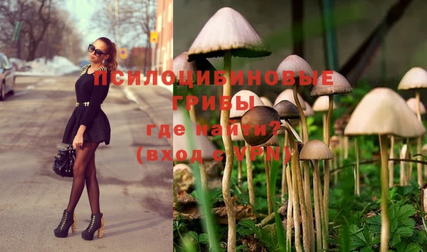 не бодяженный Алзамай