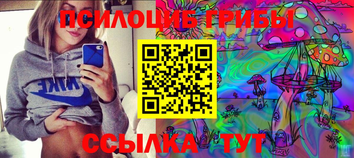 Псилоцибиновые грибы мицелий Алексеевка