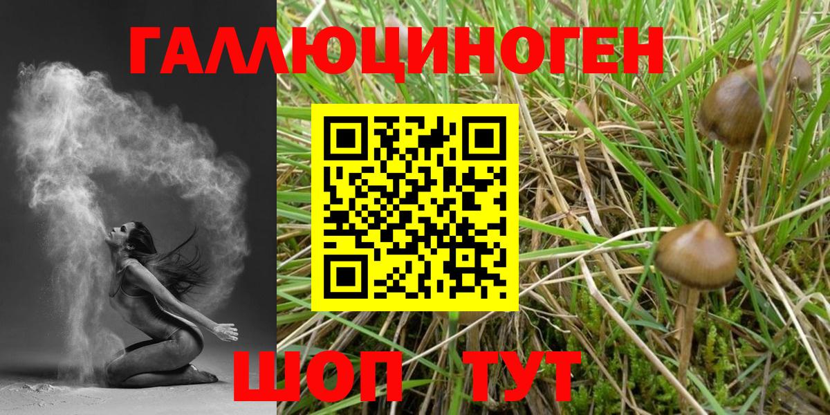 Алексеевка  Галлюциногенные грибы ЛСД  Вход с VPN  Псилоцибиновые грибы мухоморы 