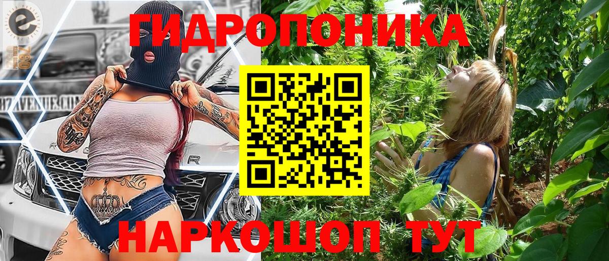 Каннабис планчик Алексеевка