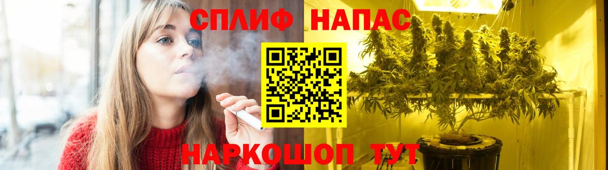 Бошки Шишки индика  Вход с VPN  Бошки Шишки планчик  Шишки марихуана THC 21%  Алексеевка 